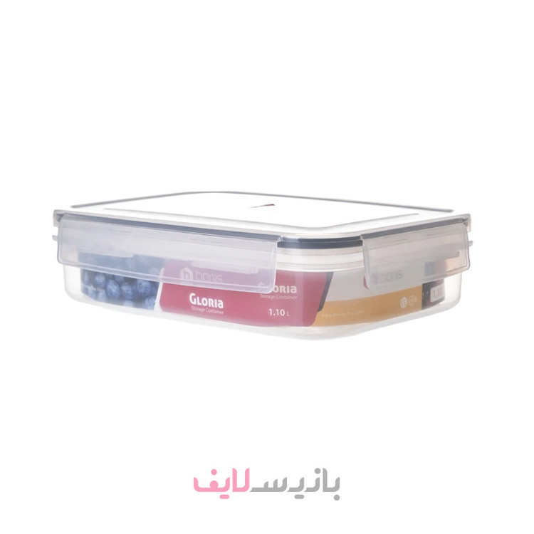 ظرف فریزری بانیس